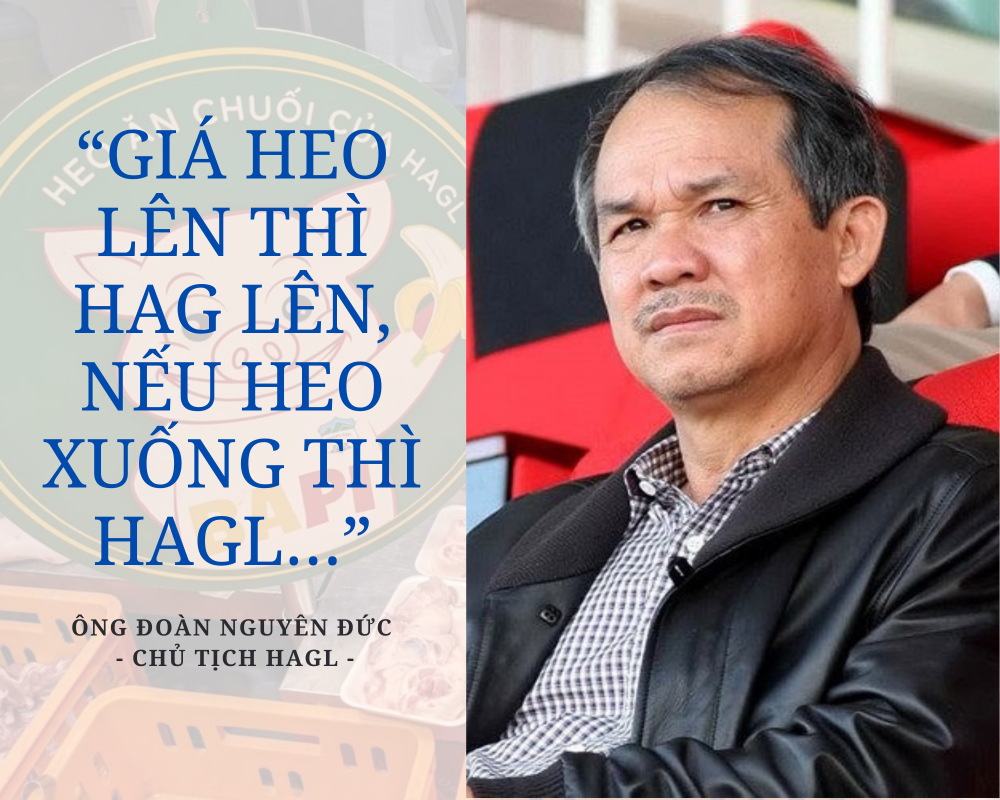 Giá heo chìm sâu, Hoàng Anh Gia Lai (HAG) báo lãi tháng 4/2023 giảm 68%