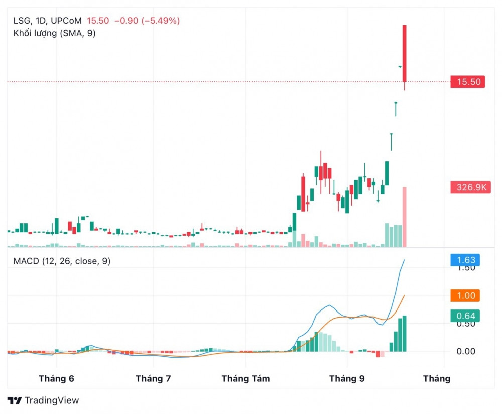 Một mã bất động sản âm thầm tăng hơn 60% trong tuần thê thảm của nhóm địa ốc