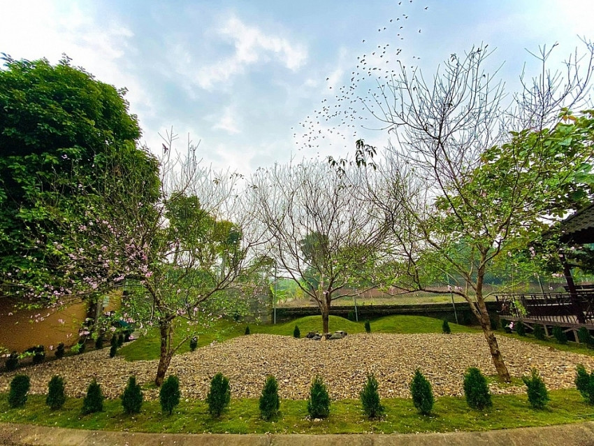 Nam ca sĩ U60 sống độc thân, vui thú điền viên trong trang trại 10.000m2 sau khi ly hôn vợ kém 18 tuổi