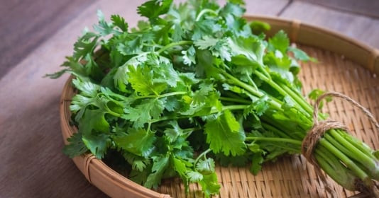 5 cách dùng rau mùi giúp tẩy da chết, trẻ hóa làn da để rạng ngời đón Tết