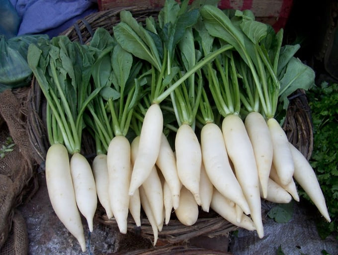 Củ cải còn được các nhà khoa học gọi là
