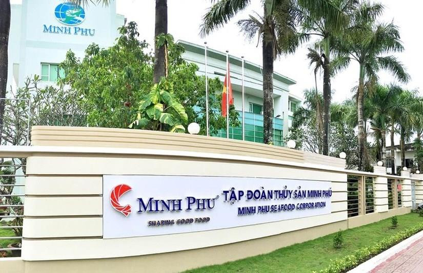"Vua tôm" Minh Phú: Tồn kho tăng, Lợi nhuận giảm 35%, trữ tiền còn vỏn vẹn hơn 40 tỷ đồng