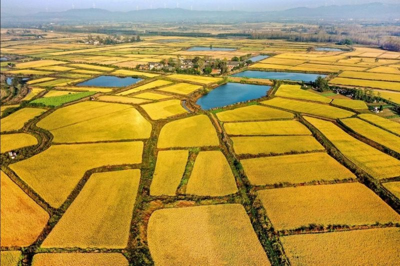 truong-hop-xay-nha-tren-dat-nong-nghiep-ma-khong-bi-phat.jpg