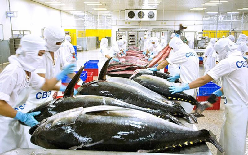 Vương quốc Anh gia nhập CPTPP: Thủy sản có nhiều thuận lợi lớn