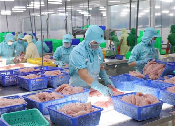 Nam Việt (ANV): Lợi nhuận gộp quý II tăng 290%