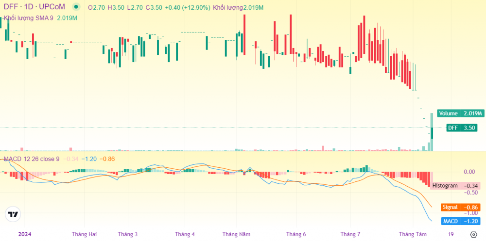 Cổ phiếu DFF tăng trần sau 27 phiên giảm liên tiếp: Tập đoàn Đua Fat khó khăn tứ bề