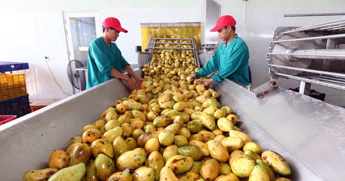 Các nước Đông Nam Á đẩy mạnh xuất khẩu nông sản sang Trung Quốc
