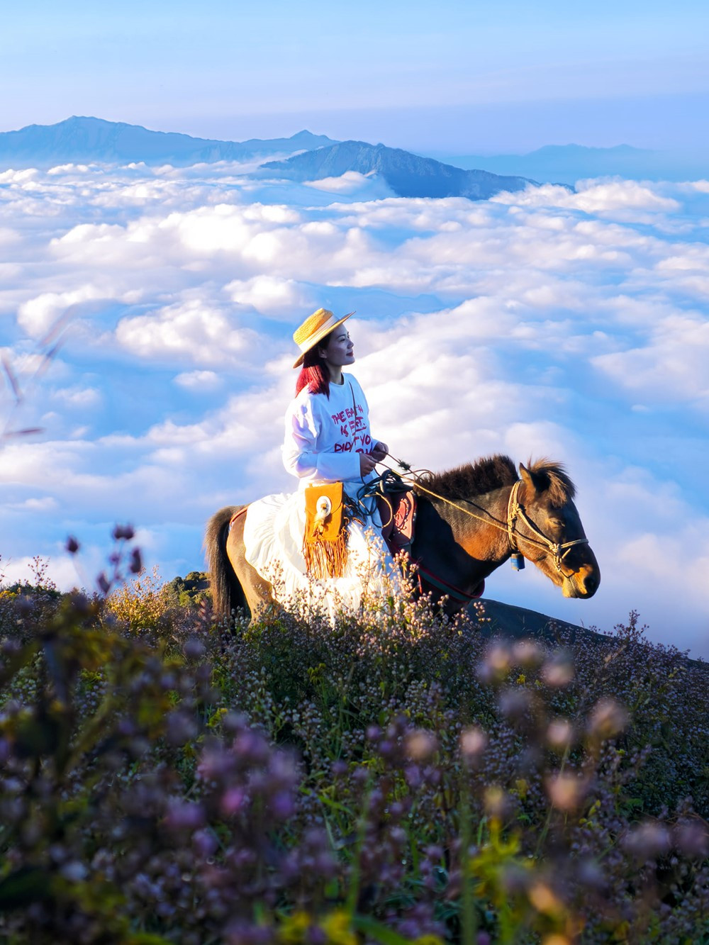 Việt Nam có ‘thiên đường săn mây’ cao gần 3.000m cực đẹp ở Tây Bắc: Thuộc top 7 ngọn núi cao nhất Việt Nam, đang gây sốt với mùa hoa đẹp nhất - ảnh 1