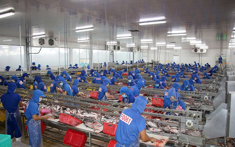 Dự kiến xuất khẩu năm 2025 sẽ tăng trưởng 12%