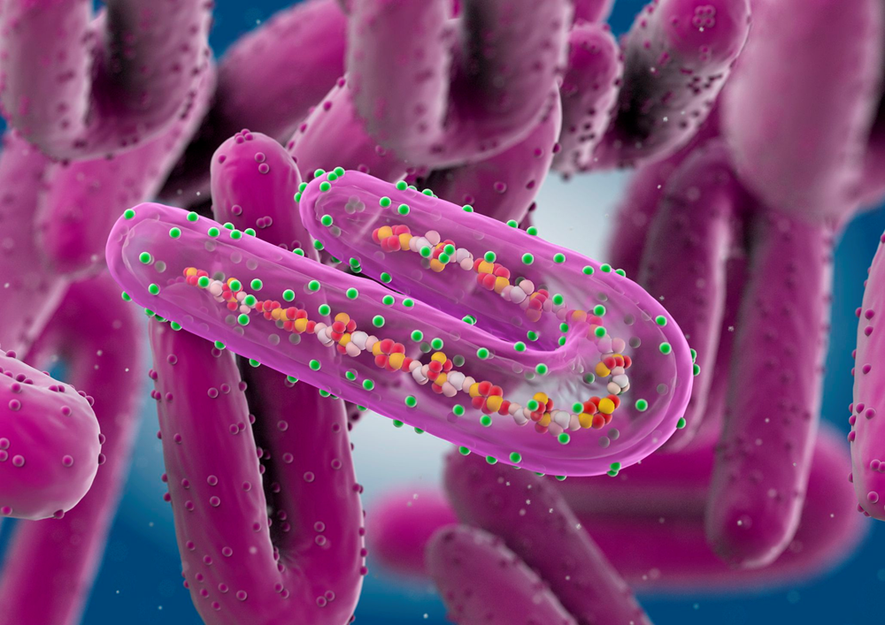 WHO cảnh báo về virus khiến 8 người tử vong ở châu Phi: Có khả năng truyền nhiễm, nghiêm trọng và thường gây tử vong - ảnh 1