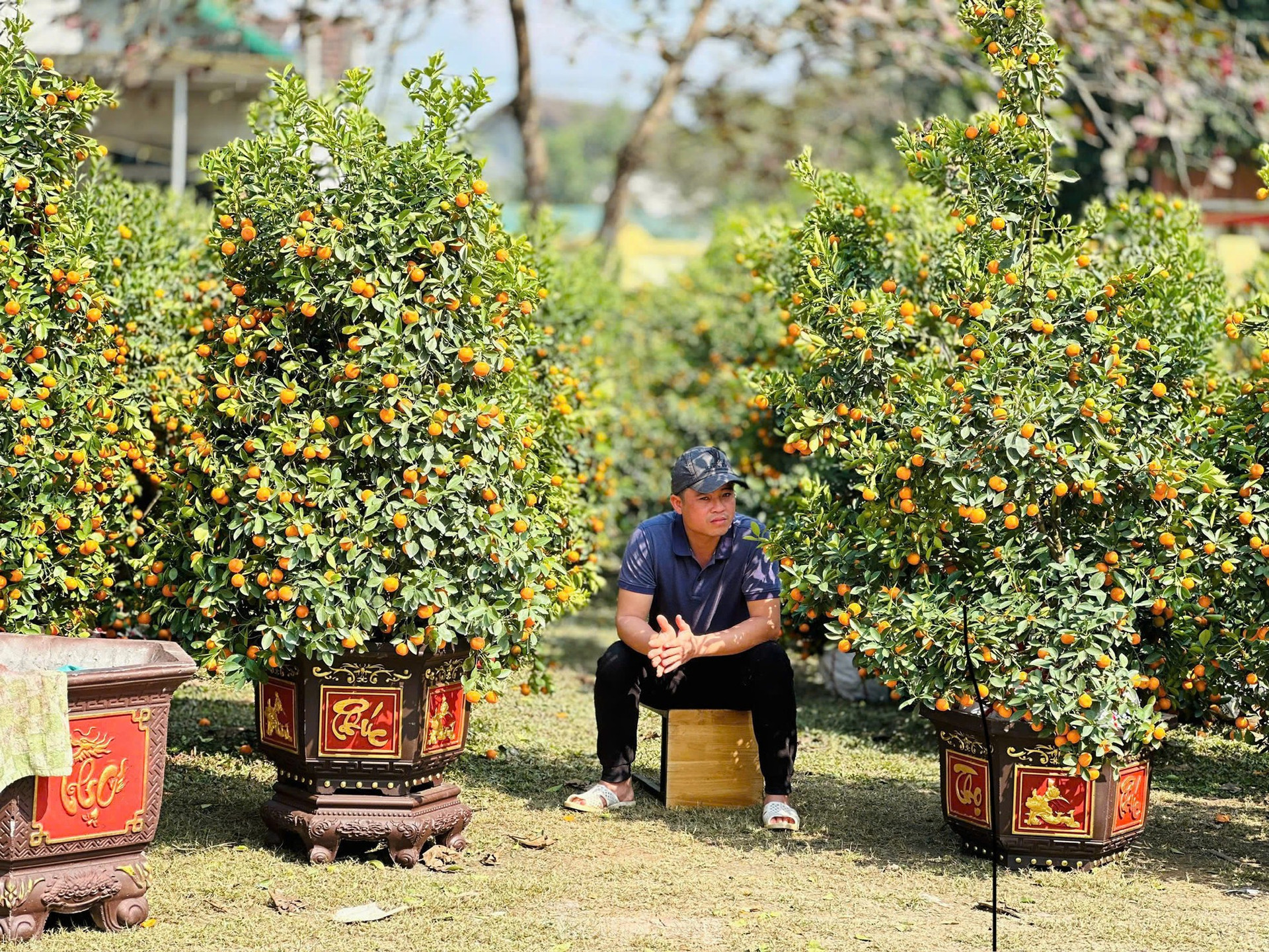 Treo biển 'xả hàng', hoa Tết vẫn vắng người mua ảnh 11