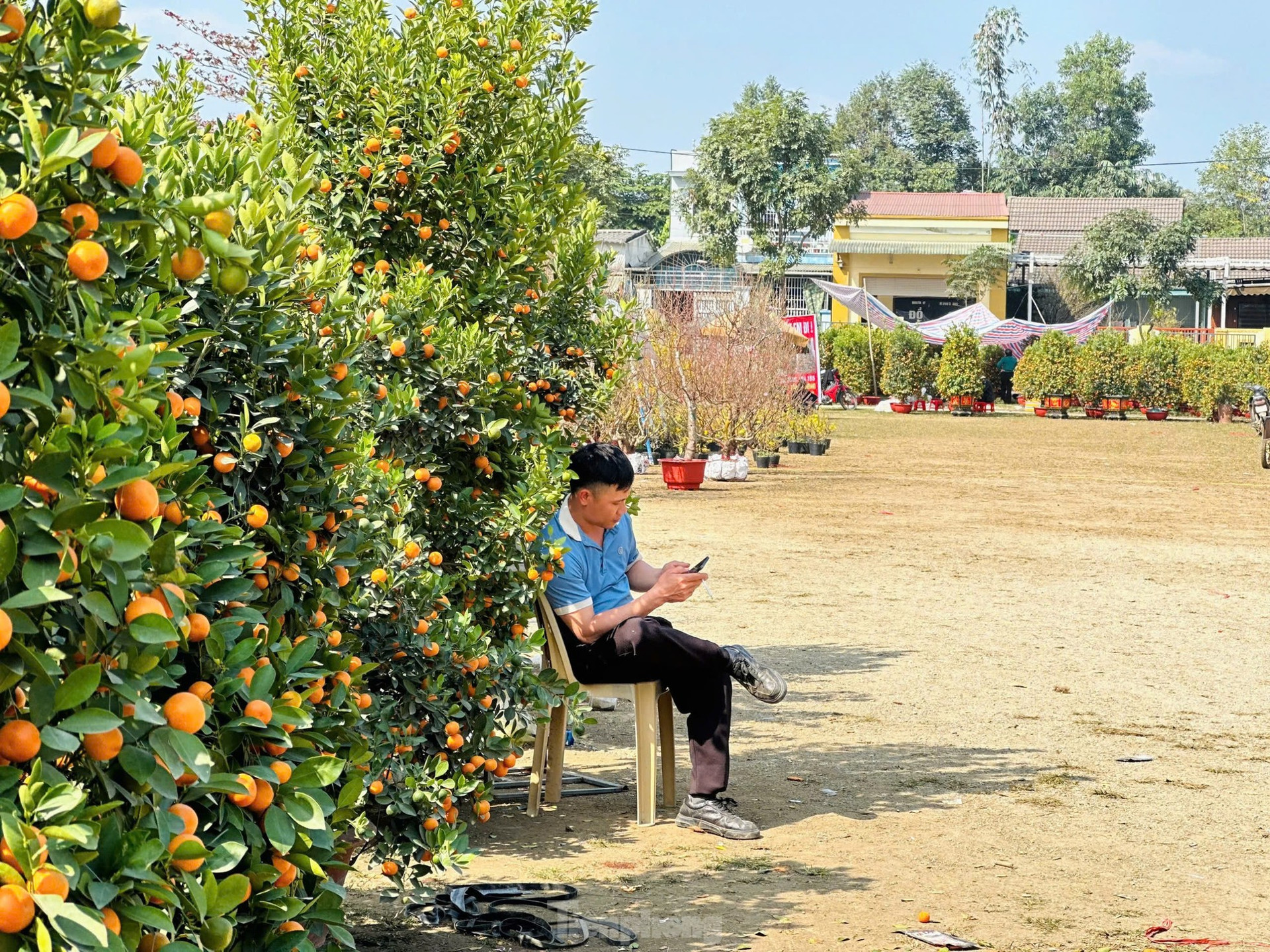 Treo biển 'xả hàng', hoa Tết vẫn vắng người mua ảnh 10