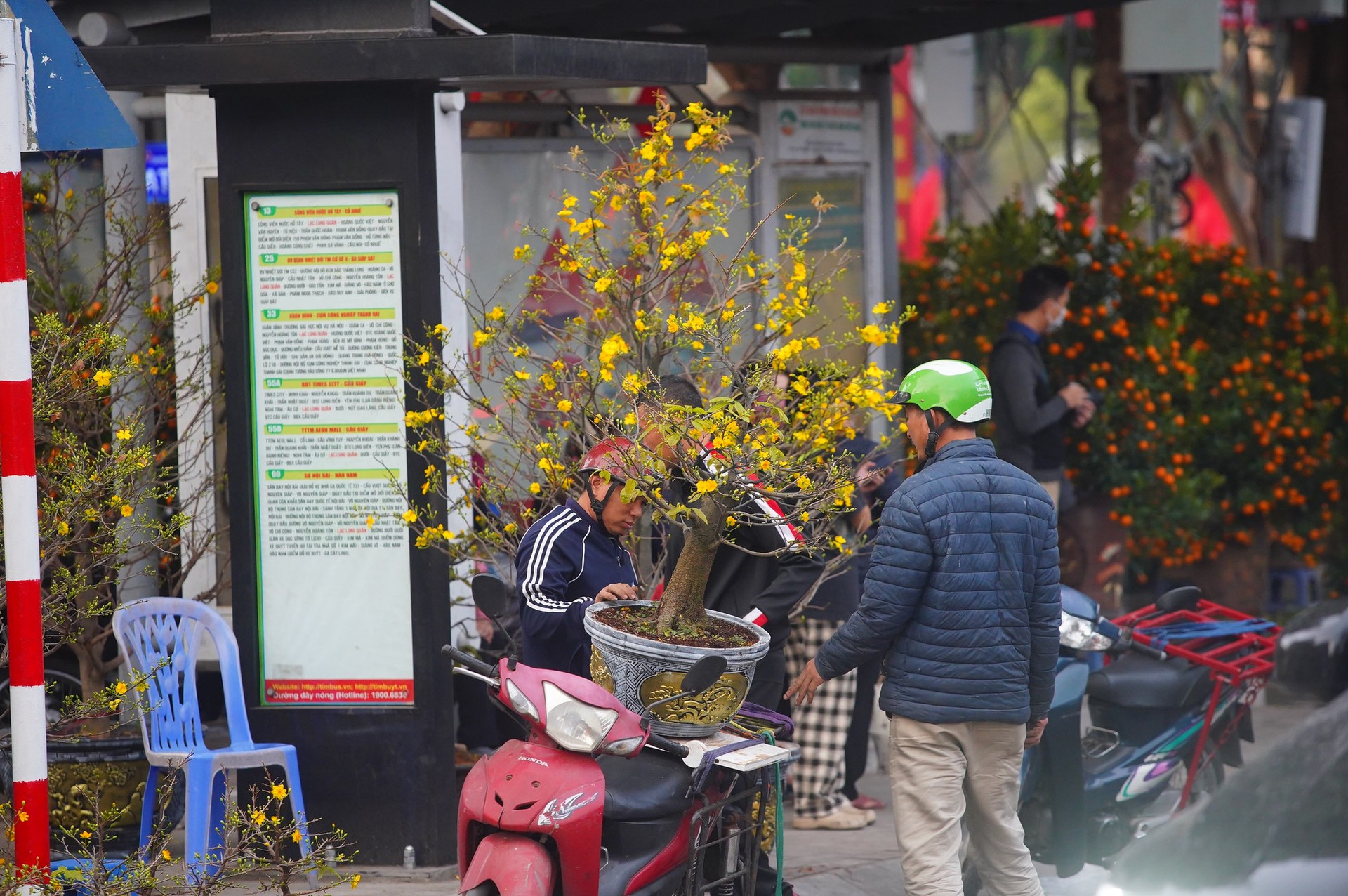 Ngày đầu kỳ nghỉ Tết Nguyên đán, người dân hồ hởi xuống phố 'săn' cành đào, cây quất ảnh 17