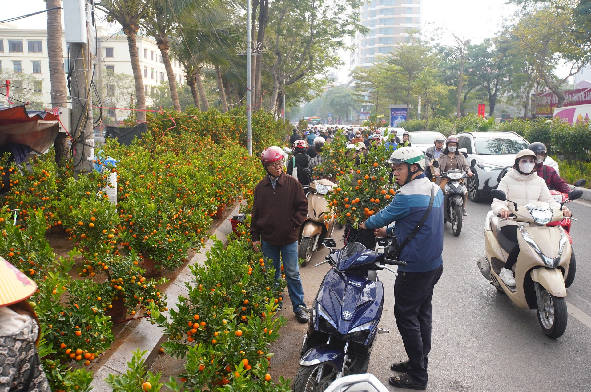 Ngày đầu kỳ nghỉ Tết Nguyên đán, người dân hồ hởi xuống phố 'săn' cành đào, cây quất ảnh 14