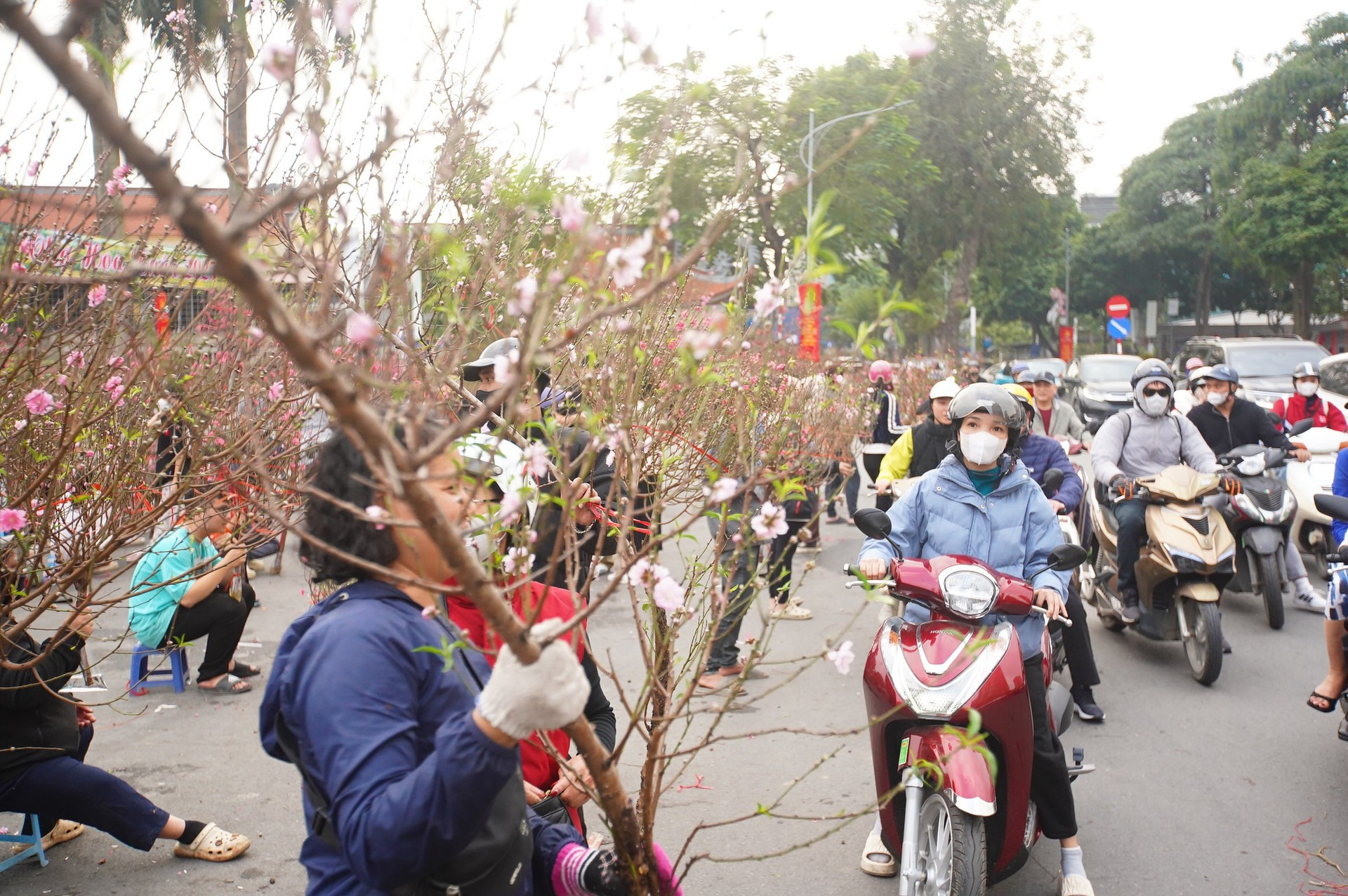 Ngày đầu kỳ nghỉ Tết Nguyên đán, người dân hồ hởi xuống phố 'săn' cành đào, cây quất ảnh 9