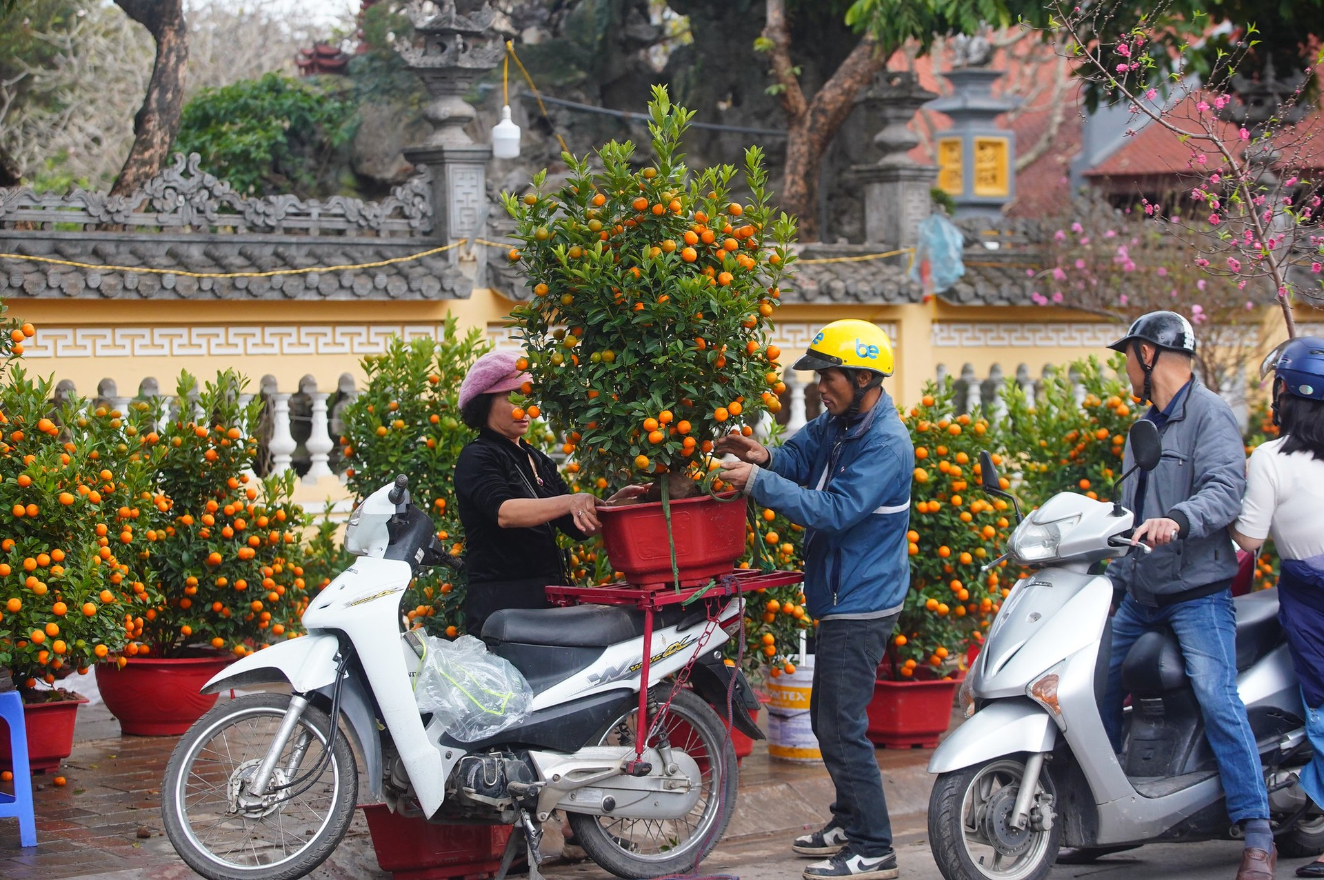 Ngày đầu kỳ nghỉ Tết Nguyên đán, người dân hồ hởi xuống phố 'săn' cành đào, cây quất ảnh 13