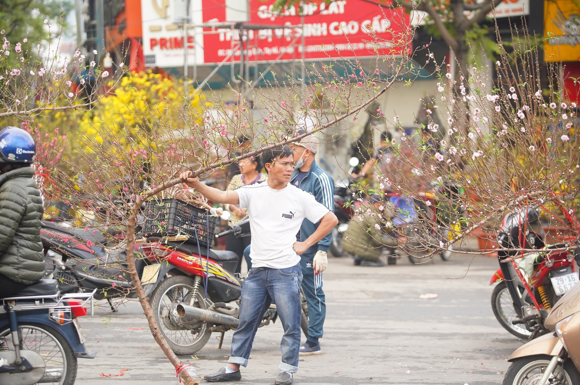 Ngày đầu kỳ nghỉ Tết Nguyên đán, người dân hồ hởi xuống phố 'săn' cành đào, cây quất ảnh 4