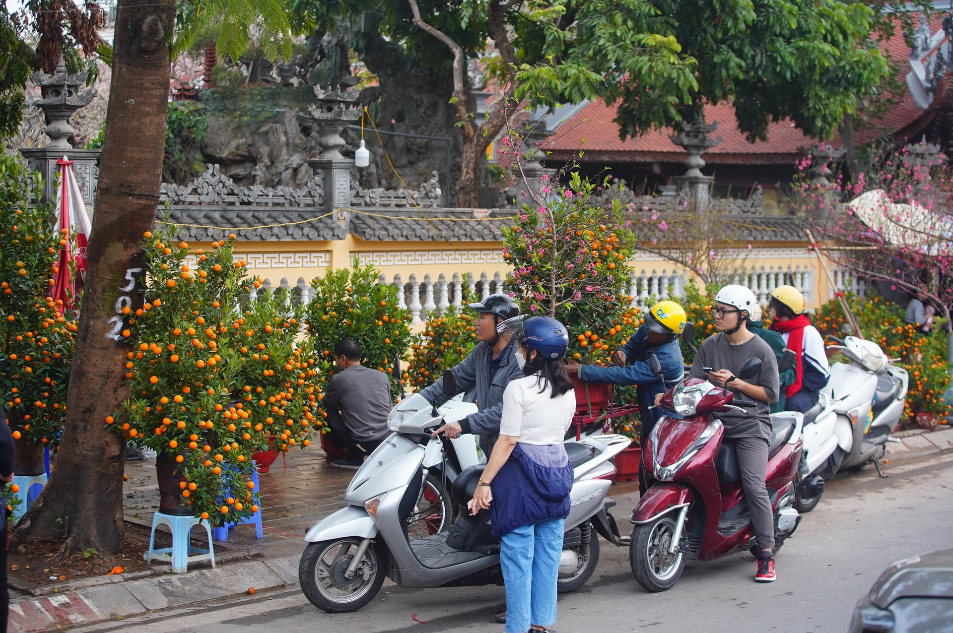 Ngày đầu kỳ nghỉ Tết Nguyên đán, người dân hồ hởi xuống phố 'săn' cành đào, cây quất ảnh 12