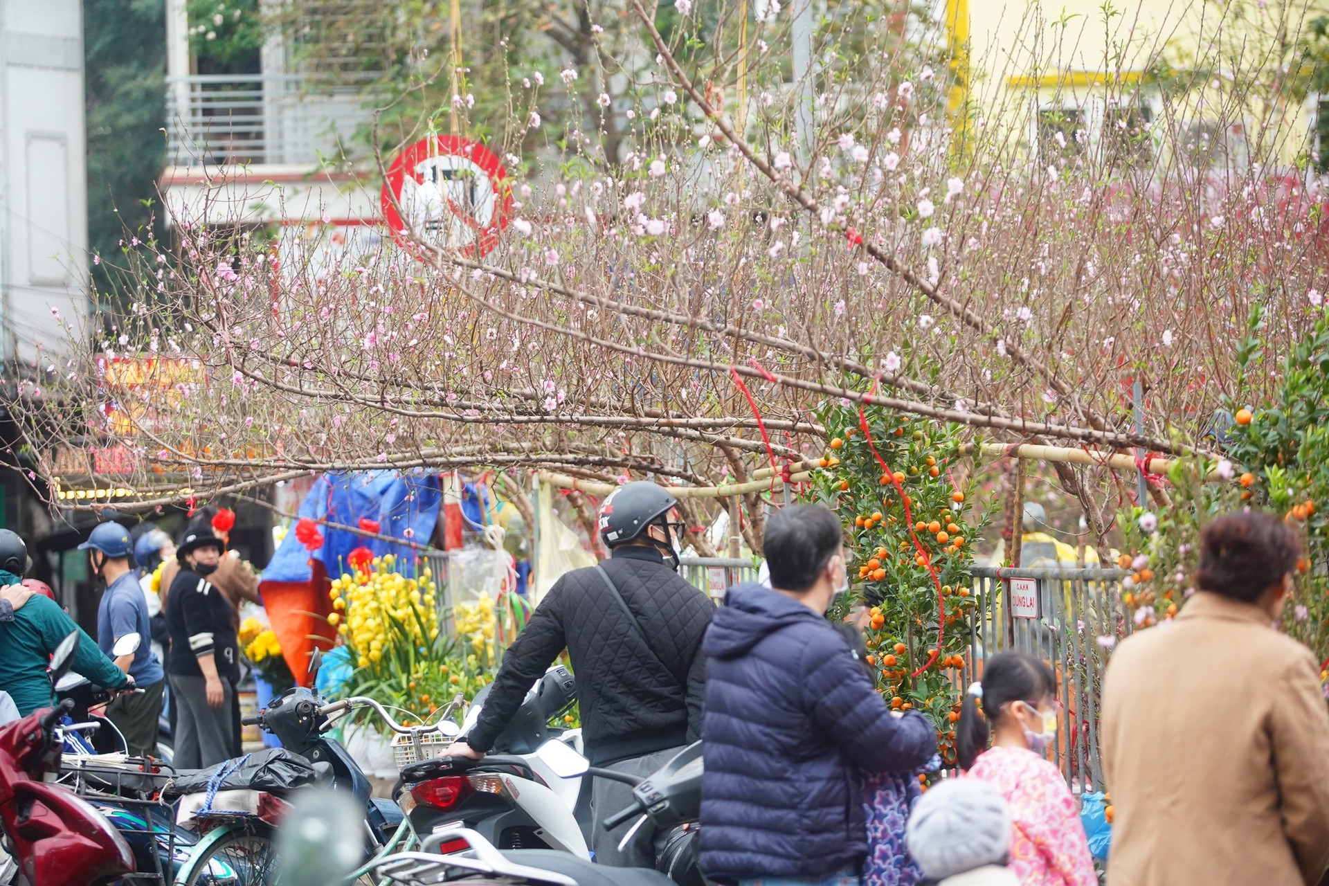 Ngày đầu kỳ nghỉ Tết Nguyên đán, người dân hồ hởi xuống phố 'săn' cành đào, cây quất ảnh 23