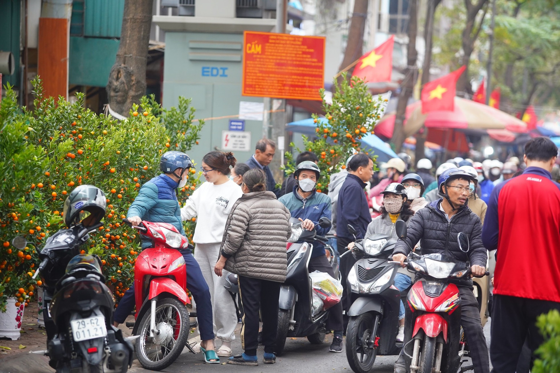 Ngày đầu kỳ nghỉ Tết Nguyên đán, người dân hồ hởi xuống phố 'săn' cành đào, cây quất ảnh 20