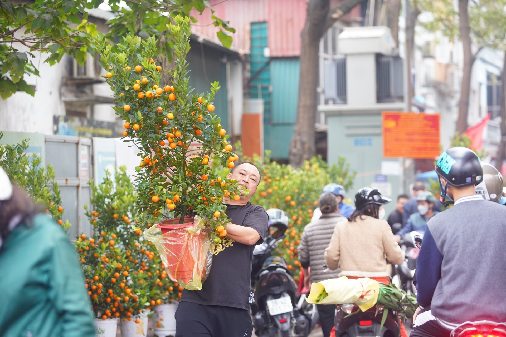 Ngày đầu kỳ nghỉ Tết Nguyên đán, người dân hồ hởi xuống phố 'săn' cành đào, cây quất ảnh 21