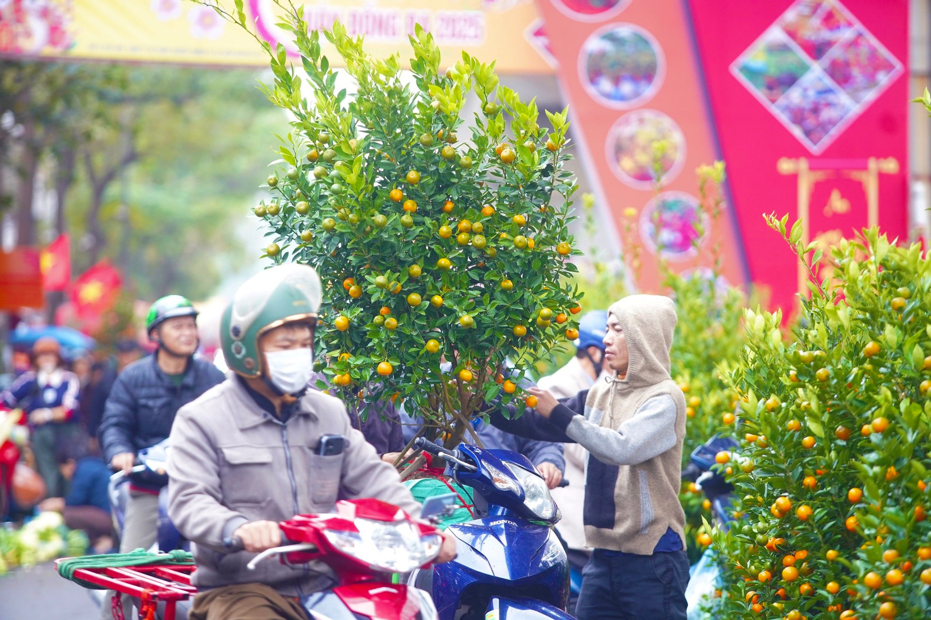 Ngày đầu kỳ nghỉ Tết Nguyên đán, người dân hồ hởi xuống phố 'săn' cành đào, cây quất ảnh 22