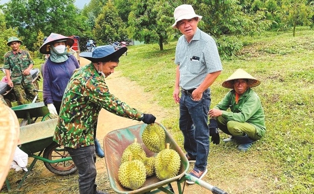 Chuối, sầu riêng và heo giúp bầu Đức thắng lớn, Hoàng Anh Gia Lai mỗi ngày lãi gần 3 tỷ đồng