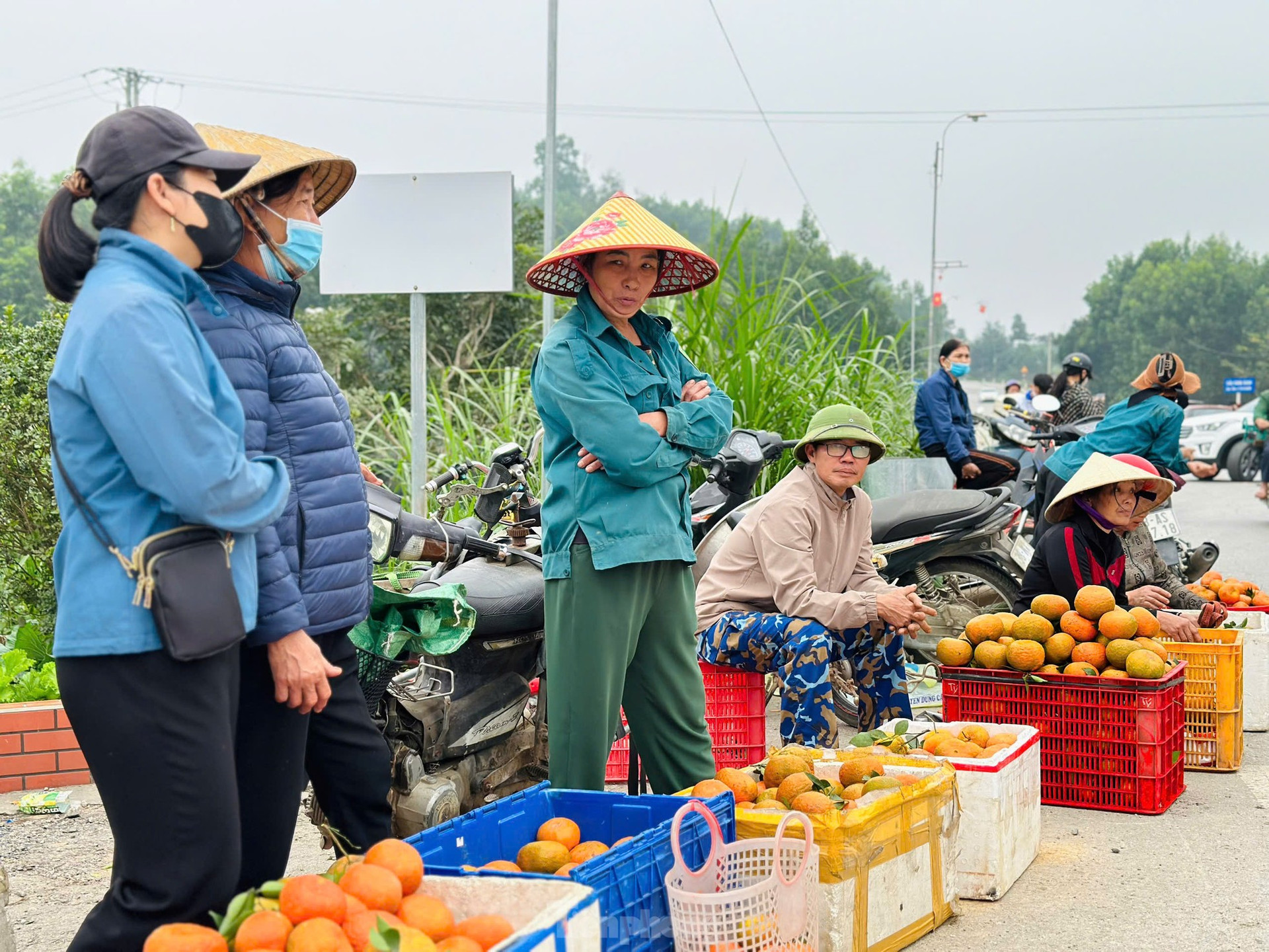 Thủ phủ cam bù vàng rực, bung hàng ngày Tết ảnh 7