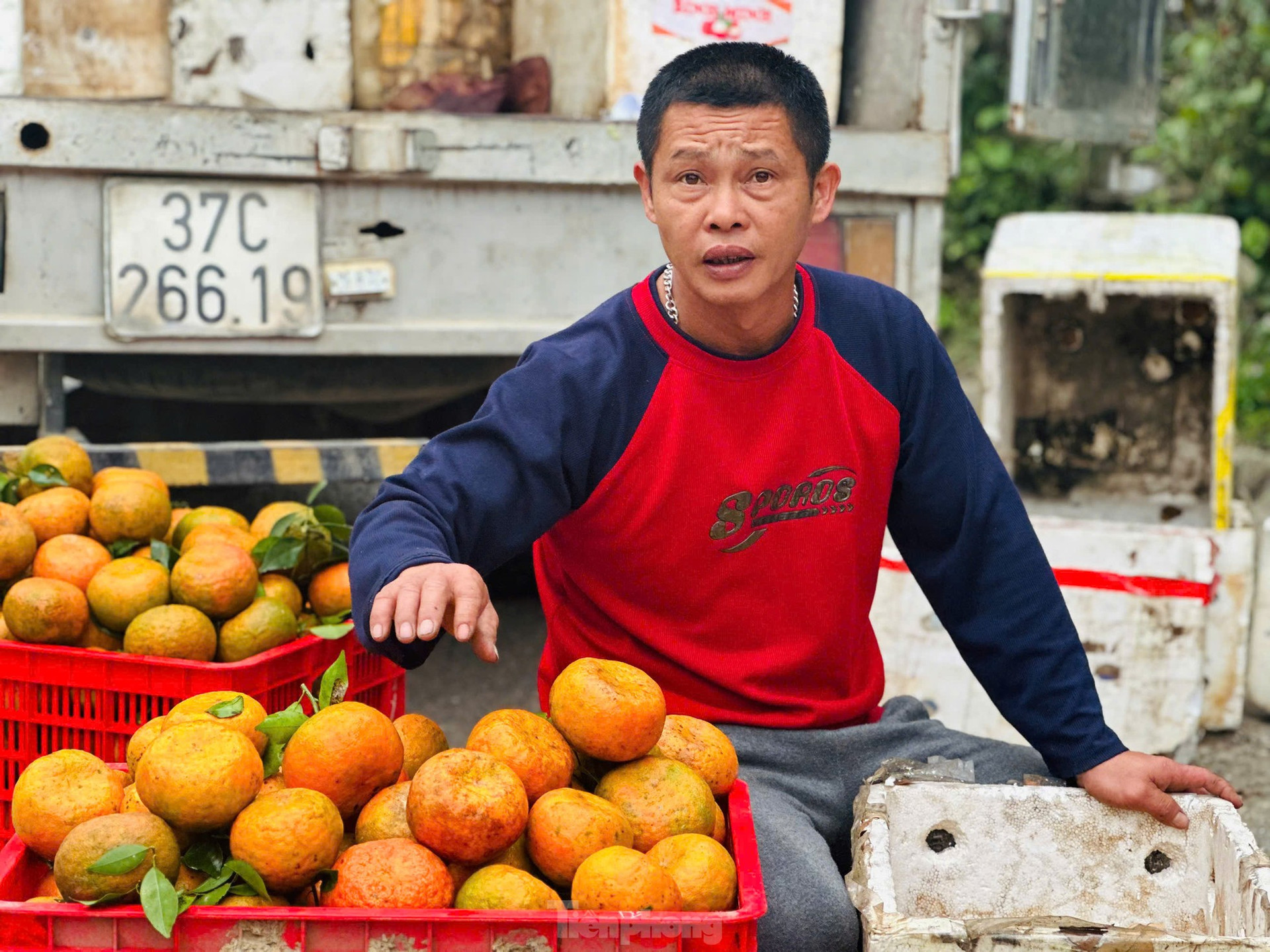 Thủ phủ cam bù vàng rực, bung hàng ngày Tết ảnh 4