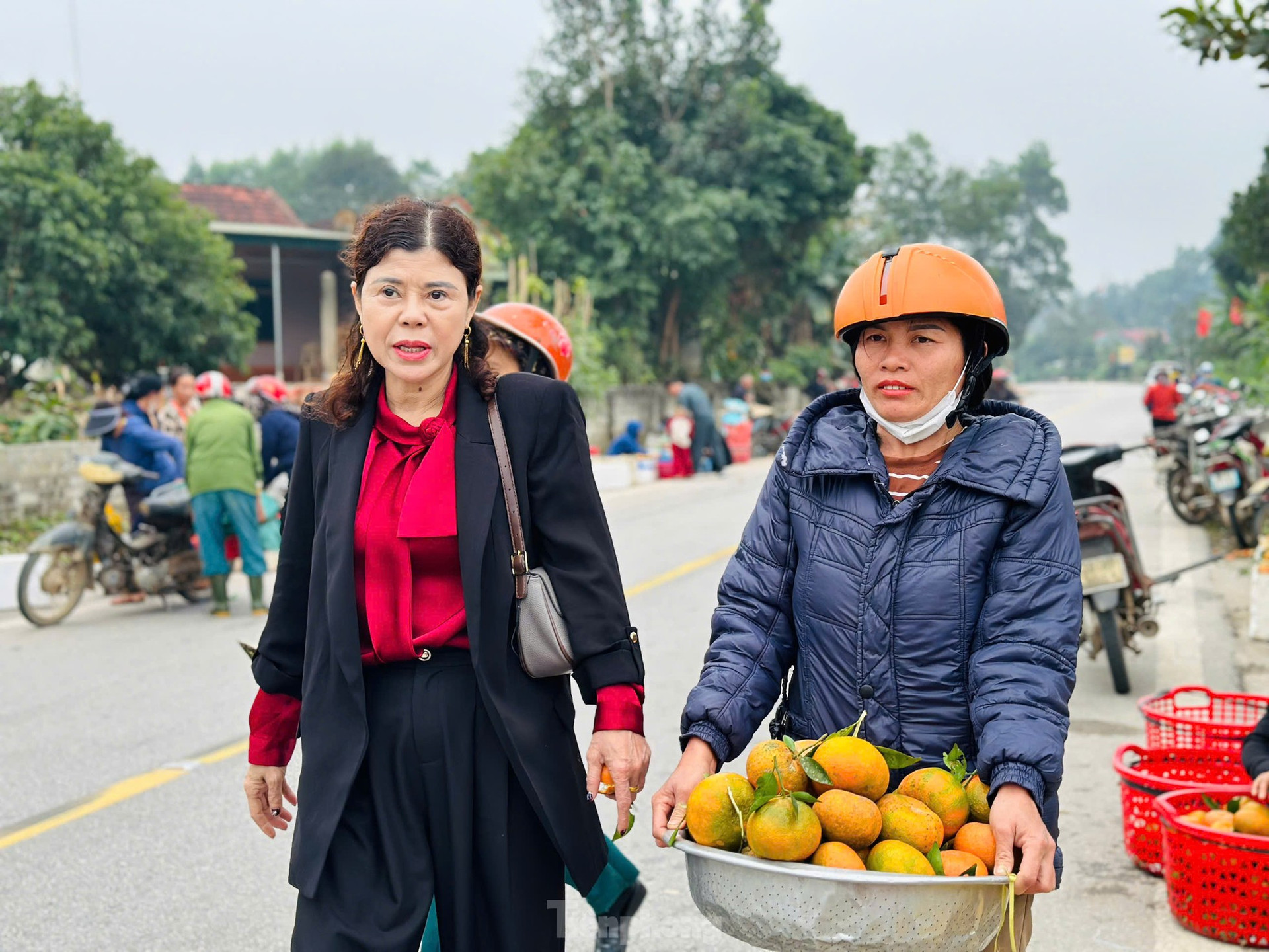 Thủ phủ cam bù vàng rực, bung hàng ngày Tết ảnh 5