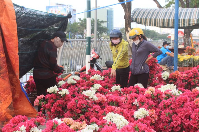 Chợ 'hét giá' hơn nửa triệu/nải chuối, nhiều người đổ vào siêu thị tìm mua ảnh 5