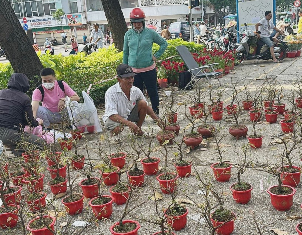 Chiều cuối năm: Chuối 10.000 đồng/nải, mai 50.000 đồng