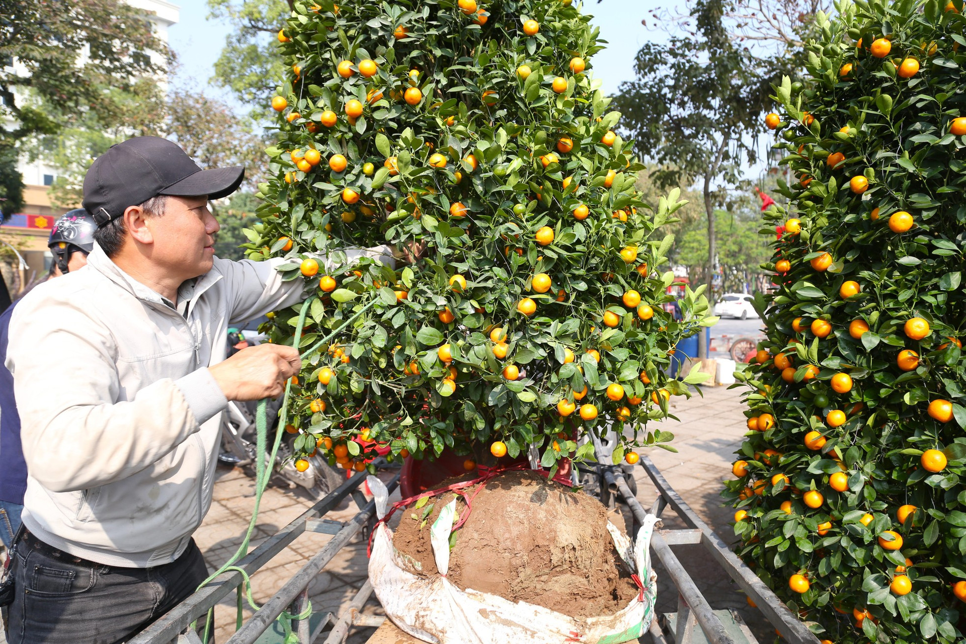 Thu nhập của 'người chở mùa xuân' giảm mạnh vụ Tết ảnh 3