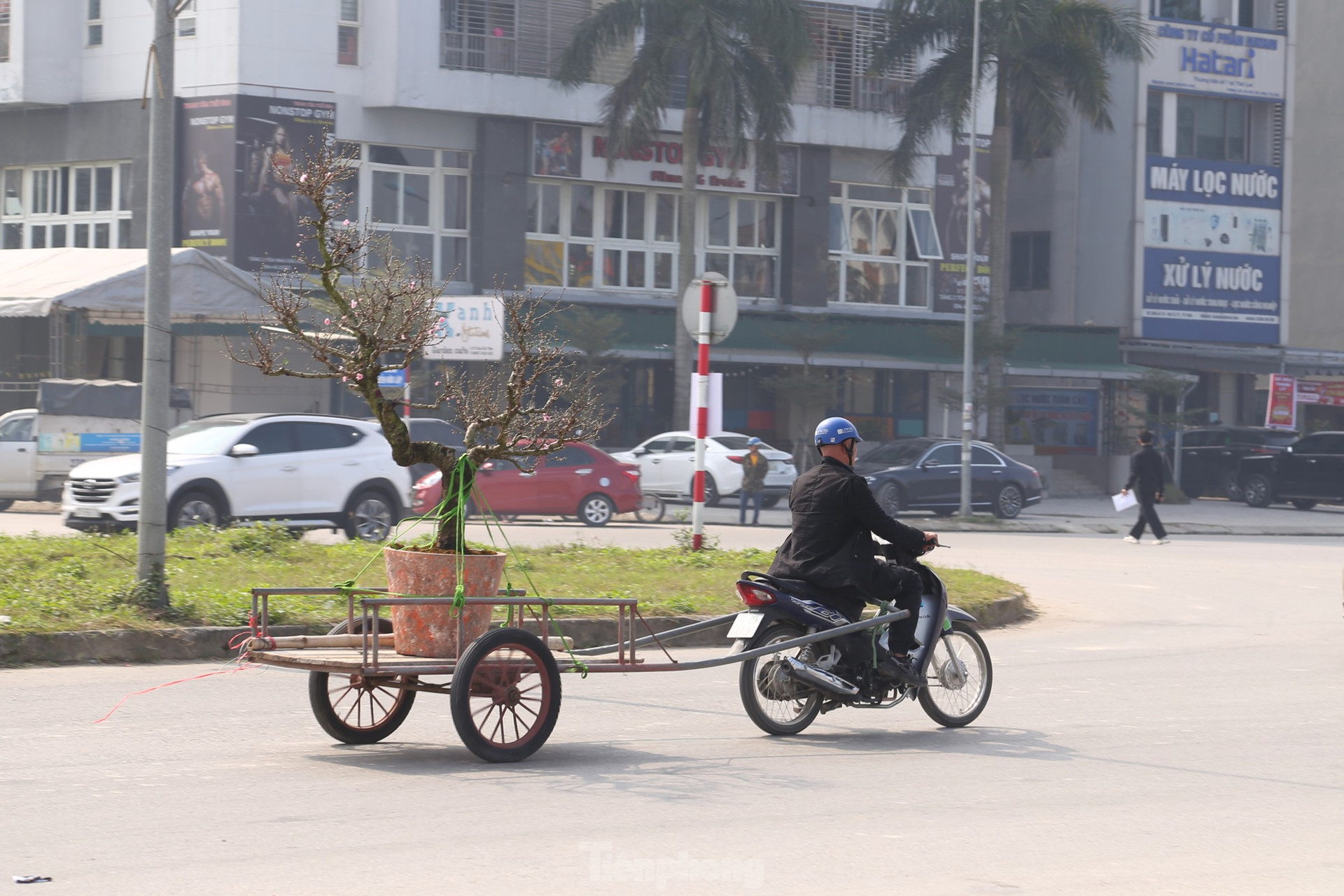 Thu nhập của 'người chở mùa xuân' giảm mạnh vụ Tết ảnh 5