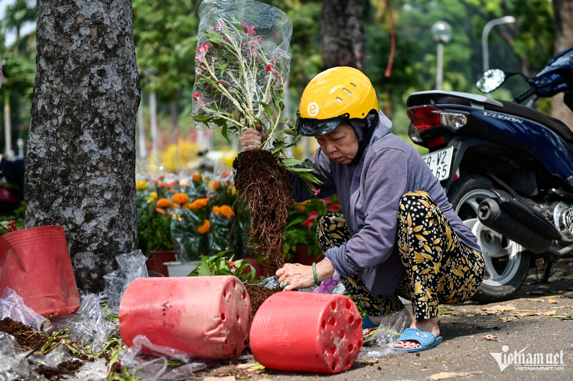 W-tết nguyễn huế 16.jpg