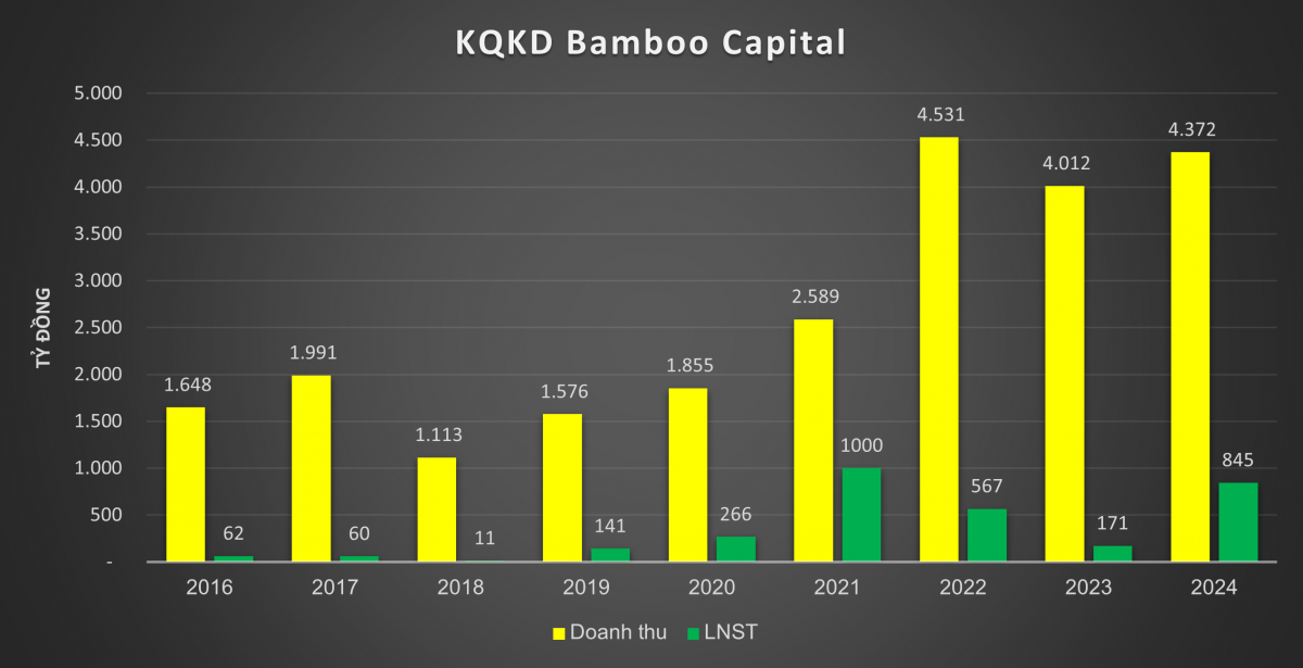 Bamboo Capital (BCG) báo lãi quý IV/2024 tăng 2.768%