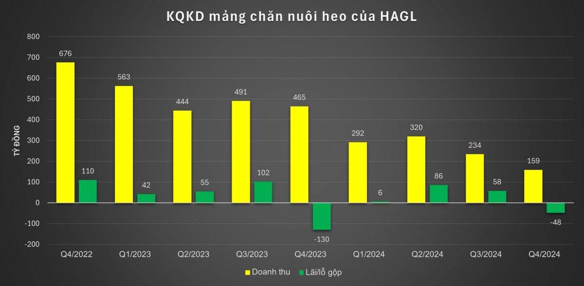 Dabaco, BAF lãi trăm tỷ nhờ giá heo tăng, Hoàng Anh Gia Lai của bầu Đức bất ngờ ngậm 'trái đắng'