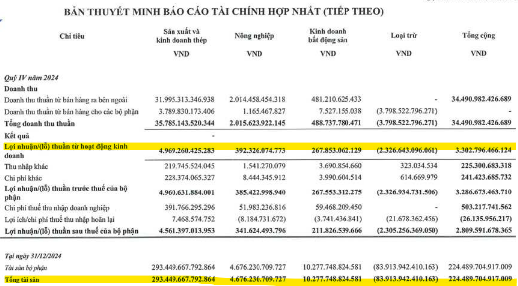 Thắng lớn nhờ luyện thép và làm nông nghiệp, Hòa Phát (HPG) cũng mát tay với bất động sản, biên lãi gộp gấp 41 lần Novaland