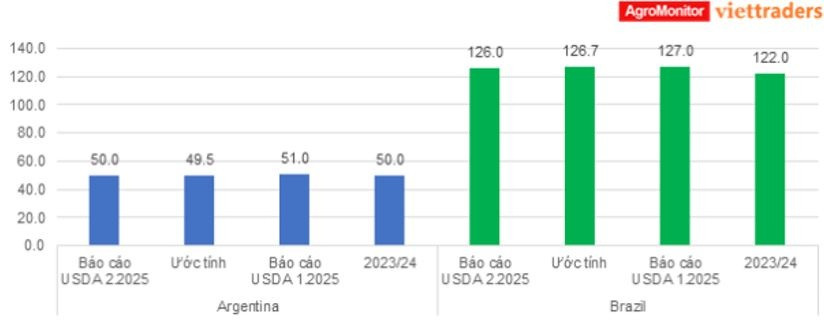 Cập nhật của USDA về ước tính sản lượng ngô niên vụ 2024-2025