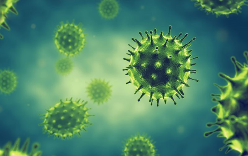 Những điều cần biết về virus cúm A