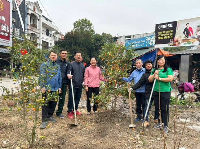 Tái sinh bánh kẹo, đào quất sau Tết ảnh 1