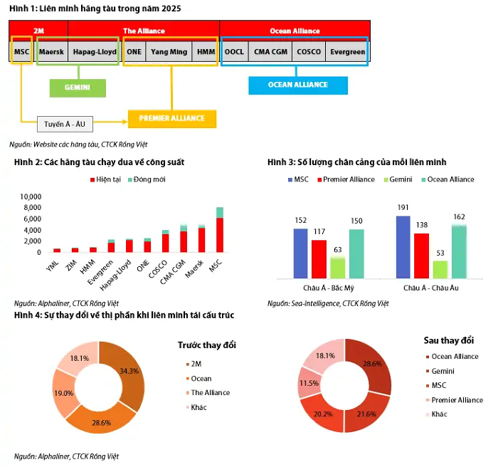 Đối trọng của liên minh hãng tàu lớn nhất thế giới ‘cập bến’ tại Việt Nam