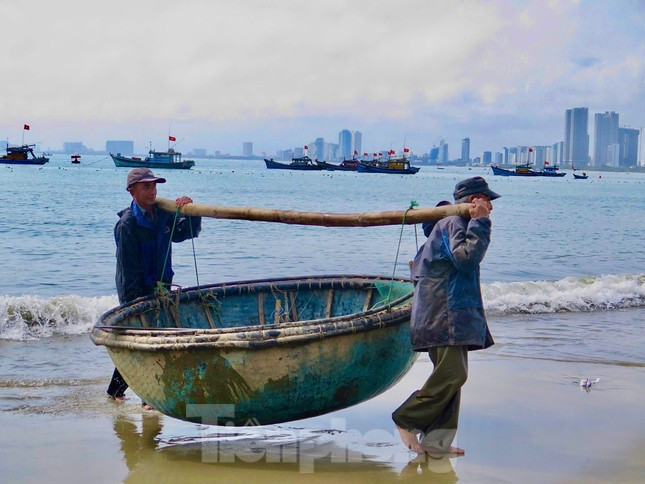 Kiếm bộn tiền với nghề 'săn' tôm hùm giống trên biển ảnh 4