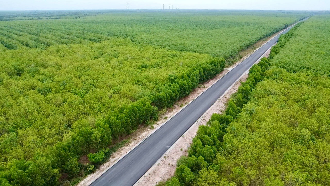 Chỉ hơn 2 tháng nữa, con đường xuyên rừng cao su tại tỉnh giàu nhất Việt Nam sẽ thông xe kỹ thuật- Ảnh 2.