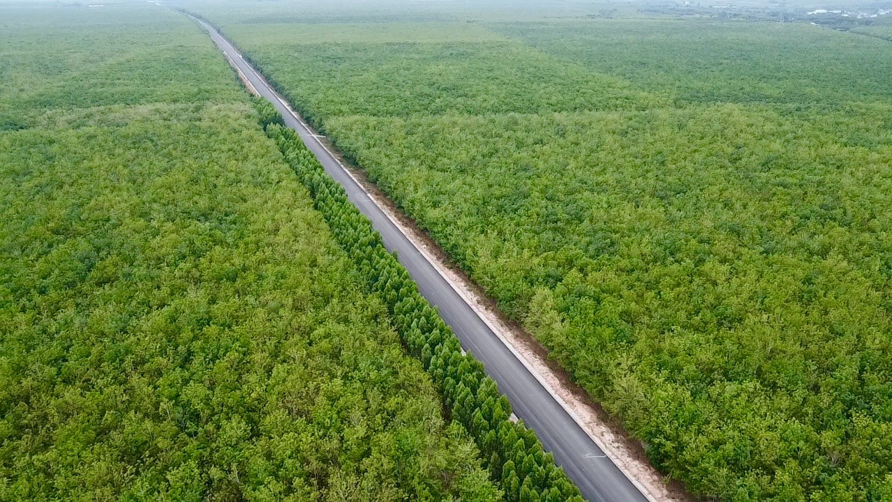 Chỉ hơn 2 tháng nữa, con đường xuyên rừng cao su tại tỉnh giàu nhất Việt Nam sẽ thông xe kỹ thuật- Ảnh 3.