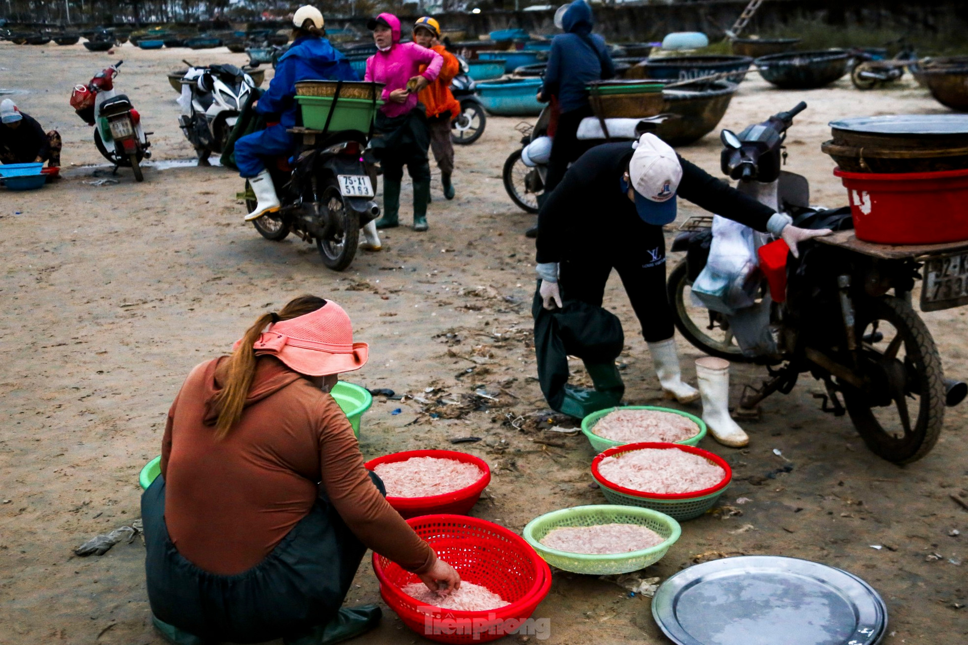 Mất mùa ruốc biển, ngư dân đứng ngồi không yên ảnh 5