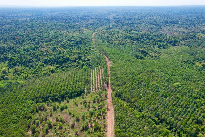 2 tỉnh lớn nhất Đông Nam Bộ sắp có đường kết nối xuyên rừng 76km, 'xoá sổ' bến đò ngang muốn qua sông phải kéo dây thừng- Ảnh 1.