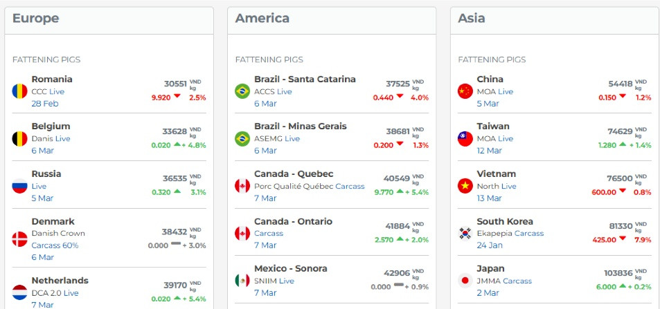 Lợn hơi Việt Nam đắt đỏ top đầu thế giới nhưng đây mới là quốc gia có giá cao nhất