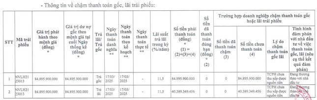 Hành động của con trai ông Bùi Thành Nhơn giữa lúc Novaland nợ đầm đìa ảnh 3