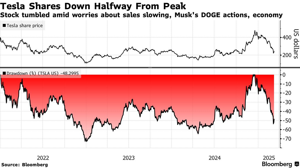 Cổ phiếu Tesla giảm 50%, các fan cuồng của Elon Musk nô nức bắt đáy - ảnh 2